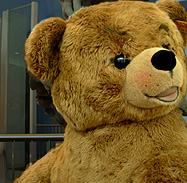 Giant Steiff Stuffed Bear photo